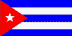 steag (7).gif (1193 bytes)